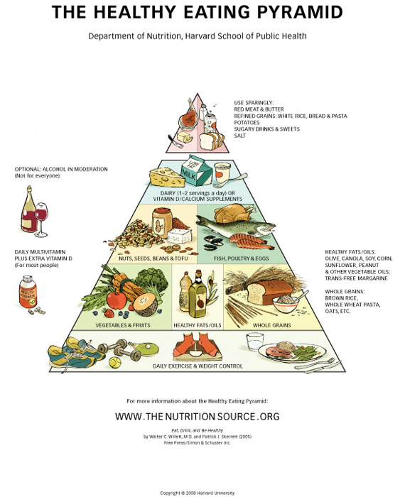 Food Guide Pyramid Free Printable Food Pyramid Free P vrogue.co
